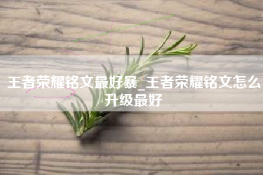 王者荣耀铭文最好暴_王者荣耀铭文怎么升级最好