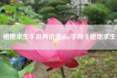 绝地求生手游两倍速bug,手游《绝地求生