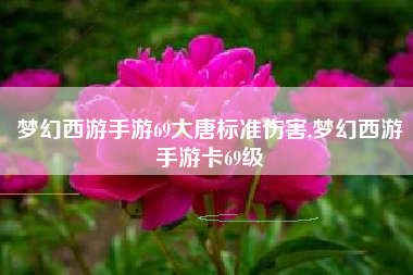 梦幻西游手游69大唐标准伤害,梦幻西游手游卡69级