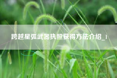 跨越星弧武器执照获得方法介绍_1