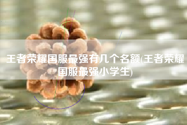 王者荣耀国服最强有几个名额(王者荣耀国服最强小学生)