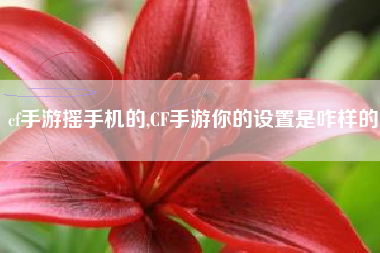 cf手游摇手机的,CF手游你的设置是咋样的