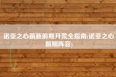 诺亚之心萌新前期开荒全指南(诺亚之心前期阵容)