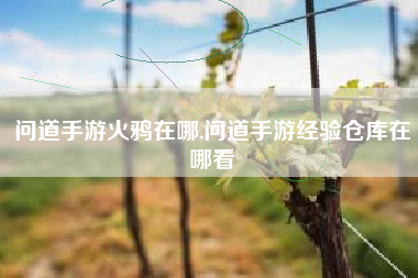 问道手游火鸦在哪,问道手游经验仓库在哪看