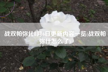 战双帕弥什8月6日更新内容一览(战双帕弥什怎么了)