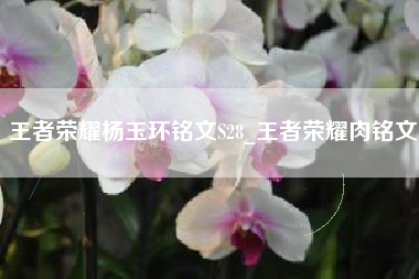 王者荣耀杨玉环铭文S28_王者荣耀肉铭文