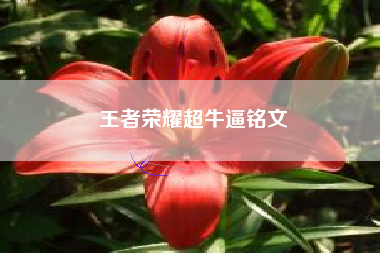 王者荣耀超牛逼铭文