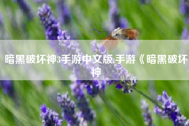 暗黑破坏神3手游中文版,手游《暗黑破坏神