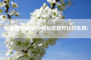 贴纸精灵好玩吗(用贴纸做好玩的东西)