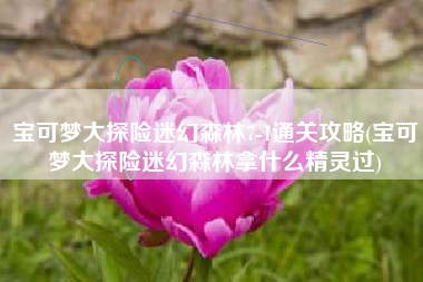 宝可梦大探险迷幻森林7-1通关攻略(宝可梦大探险迷幻森林拿什么精灵过)