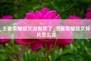 王者荣耀铭文没有卖了_王者荣耀铭文碎片怎么卖