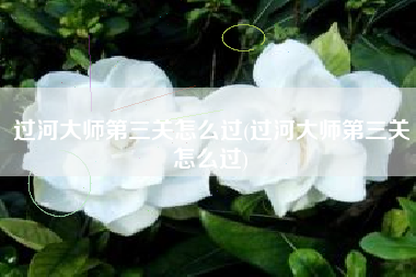 过河大师第三关怎么过(过河大师第三关怎么过)