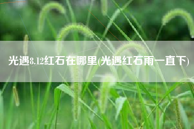 光遇8.12红石在哪里(光遇红石雨一直下)
