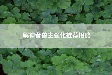 解神者兽主强化推荐招略