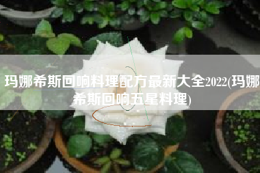 玛娜希斯回响料理配方最新大全2022(玛娜希斯回响五星料理)