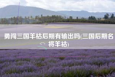 勇闯三国羊枯后期有输出吗(三国后期名将羊祜)