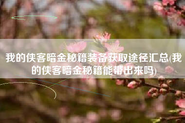 我的侠客暗金秘籍装备获取途径汇总(我的侠客暗金秘籍能带出来吗)