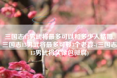 三国志13男武将最多可以和多少人结婚,三国志13男武将最多可娶3个老婆-(三国志13男武将头像包微腐)