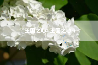 王国之心3(王国之心3)