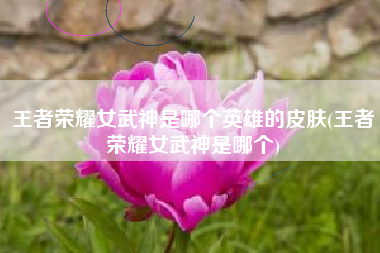 王者荣耀女武神是哪个英雄的皮肤(王者荣耀女武神是哪个)