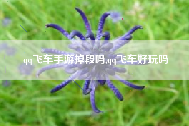 qq飞车手游掉段吗,qq飞车好玩吗