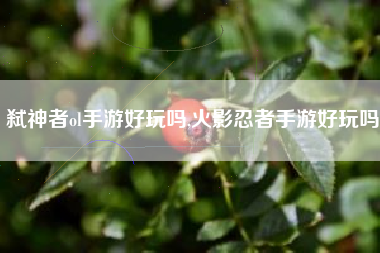弑神者ol手游好玩吗,火影忍者手游好玩吗