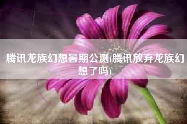 腾讯龙族幻想暑期公测(腾讯放弃龙族幻想了吗)