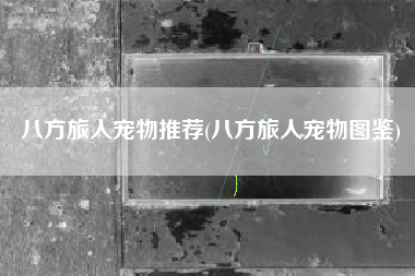 八方旅人宠物推荐(八方旅人宠物图鉴)