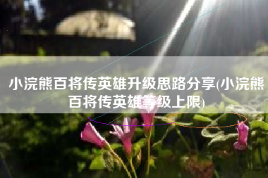 小浣熊百将传英雄升级思路分享(小浣熊百将传英雄等级上限)