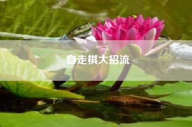 自走棋大招流