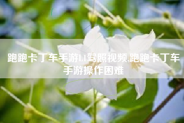跑跑卡丁车手游L1驾照视频,跑跑卡丁车手游操作困难