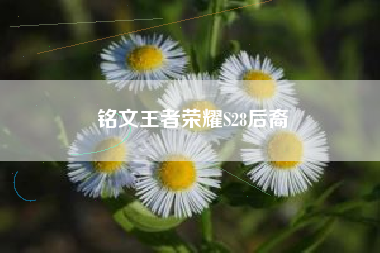 铭文王者荣耀S28后裔