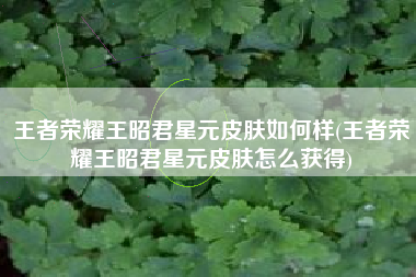 王者荣耀王昭君星元皮肤如何样(王者荣耀王昭君星元皮肤怎么获得)