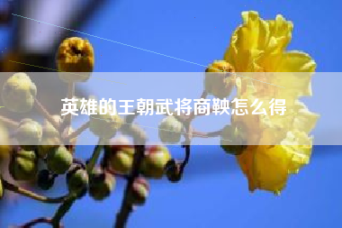英雄的王朝武将商鞅怎么得