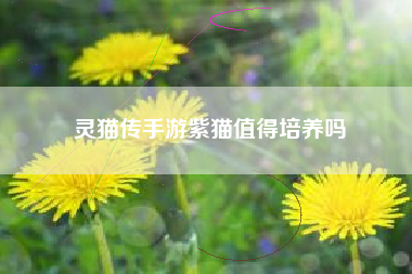 灵猫传手游紫猫值得培养吗