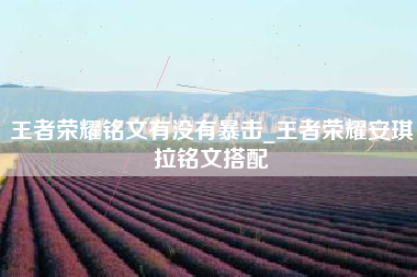 王者荣耀铭文有没有暴击_王者荣耀安琪拉铭文搭配
