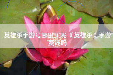 英雄杀手游号哪里买呢,《英雄杀》手游费钱吗