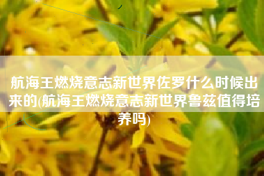 航海王燃烧意志新世界佐罗什么时候出来的(航海王燃烧意志新世界鲁兹值得培养吗)