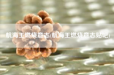 航海王燃烧意志(航海王燃烧意志贴吧)