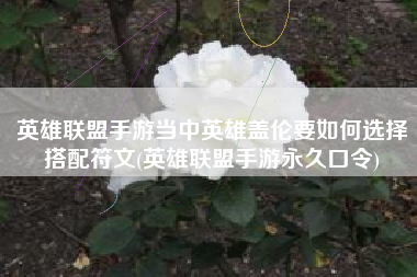 英雄联盟手游当中英雄盖伦要如何选择搭配符文(英雄联盟手游永久口令)