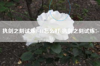 执剑之刻试炼4-11怎么打(执剑之刻试炼7-1)