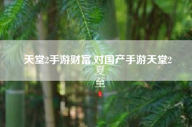 天堂2手游财富,对国产手游天堂2