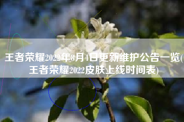 王者荣耀2022年8月4日更新维护公告一览(王者荣耀2022皮肤上线时间表)