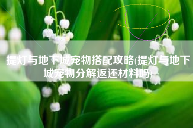 提灯与地下城宠物搭配攻略(提灯与地下城宠物分解返还材料吗)