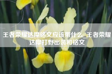 王者荣耀达摩铭文应该带什么_王者荣耀达摩打野出装和铭文