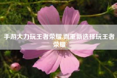 手游大力玩王者荣耀,而重新选择玩王者荣耀
