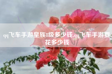qq飞车手游皇族8级多少钱,qq飞车手游要花多少钱