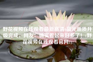 野花视频在线观看最新高清6蓝光画质升级完成，网友：确实看起来好多了！(野花视频在线观看官网1)
