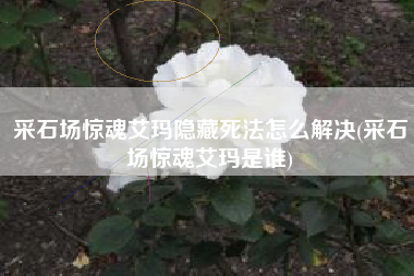 采石场惊魂艾玛隐藏死法怎么解决(采石场惊魂艾玛是谁)