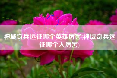 神域奇兵远征哪个英雄厉害(神域奇兵远征哪个人厉害)
